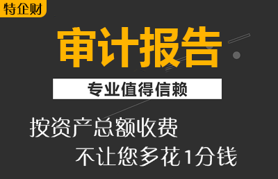 和田审计报告